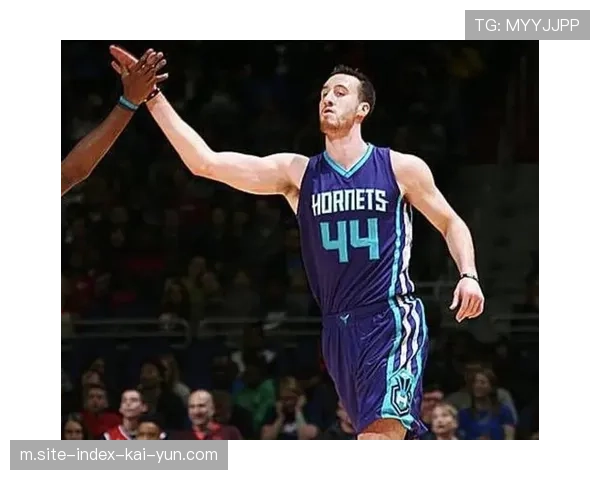 黄蜂防守体系构建观察 中锋风格差异带来战术弹性